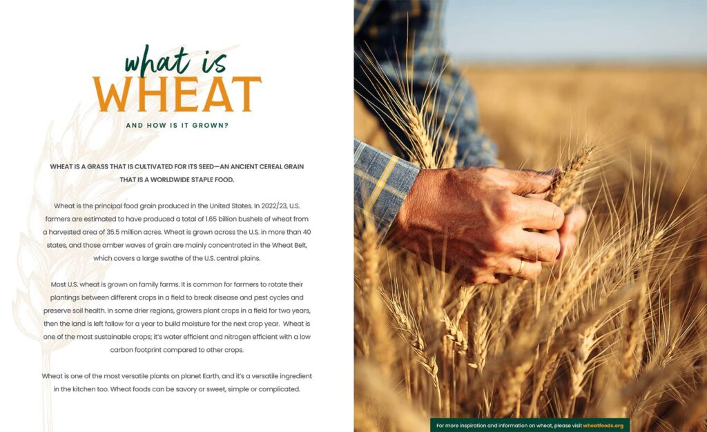 What is Wheat? Wheat Foods Council
